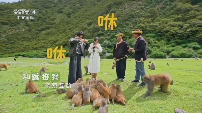 《住进风景里·72小时》 20251012