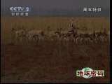 地球密码（周末精编节目） 周末精编节目 2010年 第229期 1-2