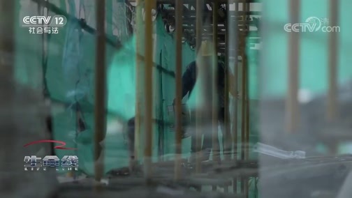 生命线 《生命线》 20191030