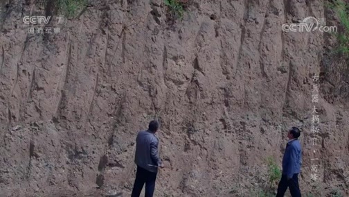 兵器面面观 《兵器面面观》 20190820 《古兵器大揭秘 第二季》 第九集 一窝蜂