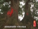 记住乡愁第一季 《记住乡愁 第一季》 20150123 第二十三集 杨家堂村——修仁心行义事