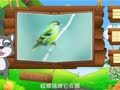 看图识物 白鹳 戴胜 黄雀
