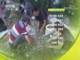 我爱发明 《我爱发明》 20180628 农机也疯狂3