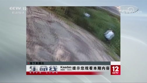 生命线 《生命线》 20191211