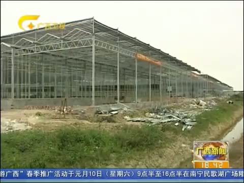 广西新闻 《广西新闻》 20150104