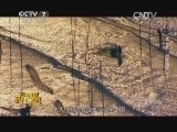 军事纪实 《军事纪实》 20141124 北洋海军兴亡史① 问洋图强（上）