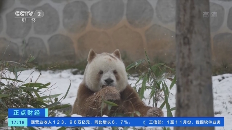 正点财经 《正点财经》 20221227 17:00