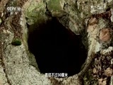 地理中国 《地理中国》 20180117 湘境奇域·山村奇井