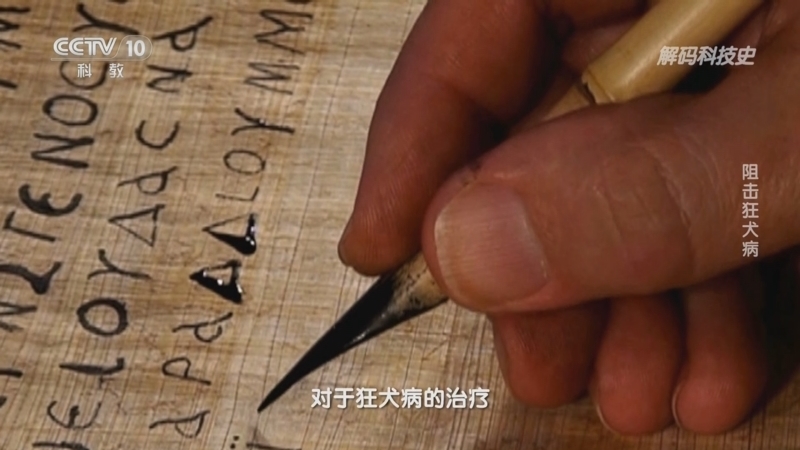 解码科技史 《解码科技史》 20240928 阻击狂犬病