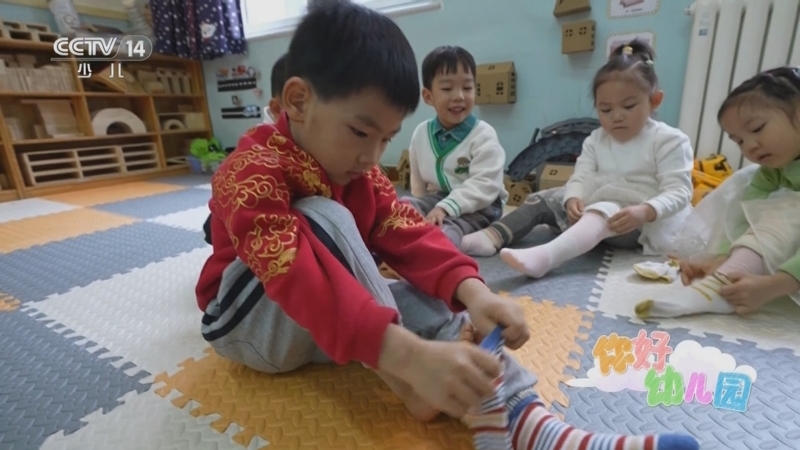 小小智慧树 《小小智慧树》 20240607