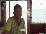 走近科学 《走近科学》 20160606 创新中国 神奇的LED