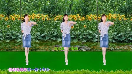 流行DJ广场舞及教学 第三季 快乐DJ广场舞《开心是宝》32步演示分解