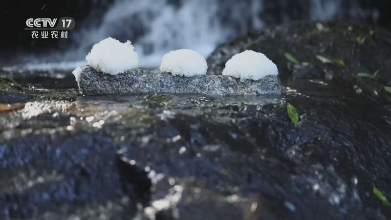 《谁知盘中餐》 20260308 新年知新味 银耳金耳 餐桌上新