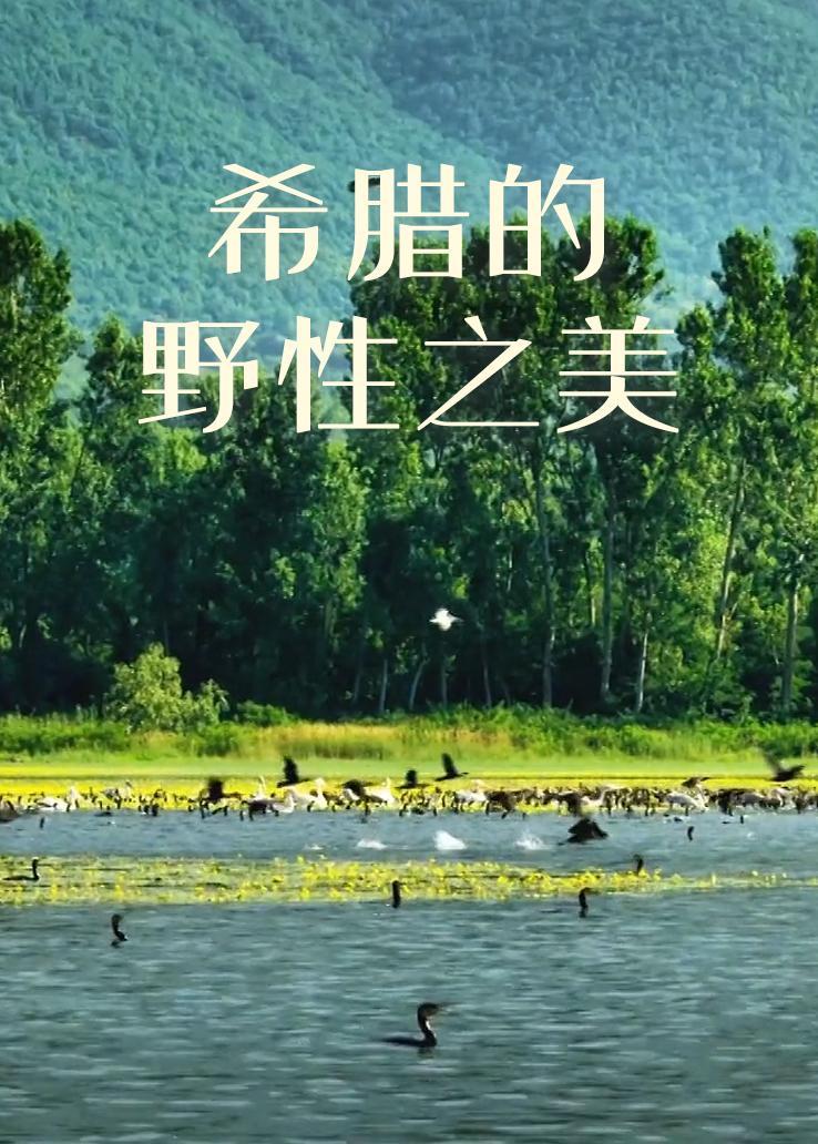 希腊的野性之美