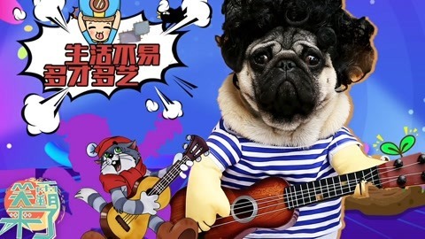 笑霸来了欢畅版 生活不易多才多艺