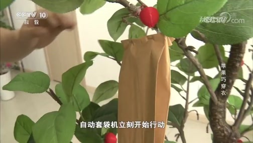 我爱发明 《我爱发明》 20180926 苹果巧穿衣