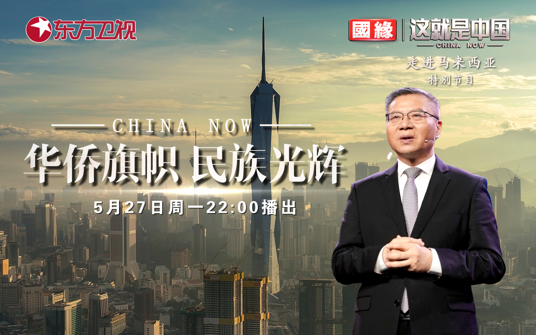 这就是中国 华侨旗帜 民族光辉