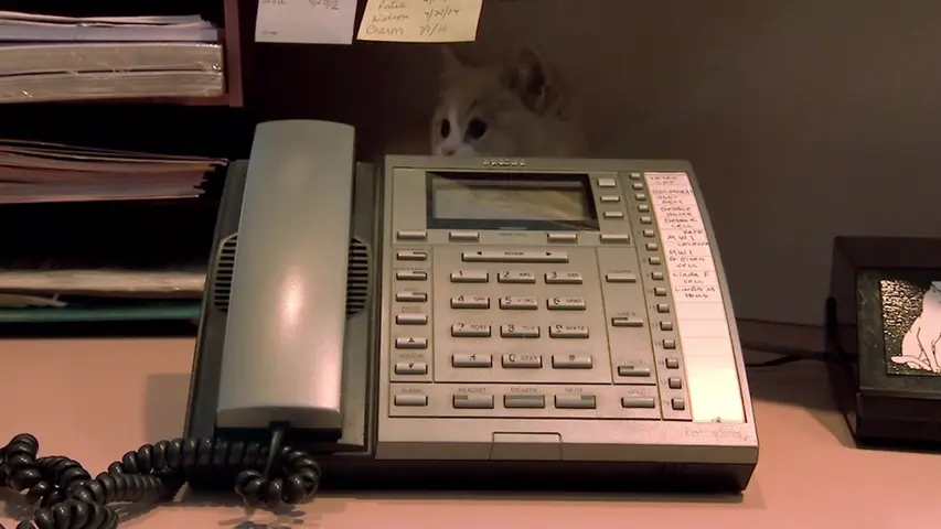 《萌宠成长记第二季》第2集