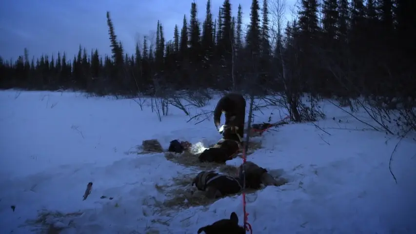 《零度以下的生活第五季》第6集