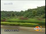 道德观察 道德观察（日播版） 2010年 第203期 寻找阳光