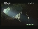 人与自然 《人与自然》 20130329 自然启示 蝙蝠大迁徙