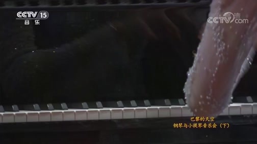 CCTV音乐厅 《CCTV音乐厅》 20191024 巴黎的天空 钢琴与小提琴音乐会（下）