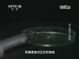 走近科学 《走近科学》 20141222 汞中毒的小男孩