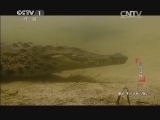 动物世界 《动物世界》 20140324 终极猛鳄（下）