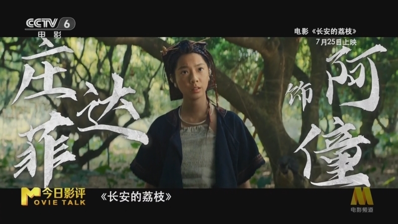 今日影评 《今日影评》 20250619 《长安的荔枝》