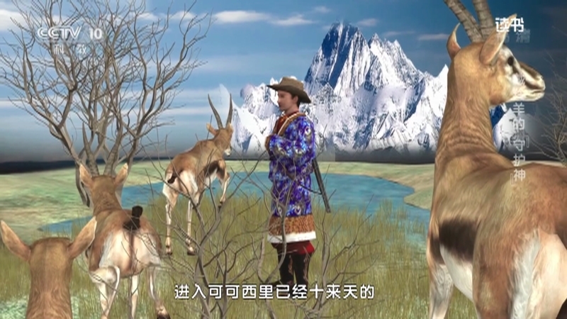 《读书》 20210423 王宗仁 《藏羚羊背上的可可西里》 藏羚羊的“守护神”