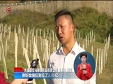 星期天报道 《星期天报道》 20171224