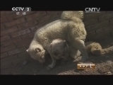 生财有道 《生财有道》 20150306 十八载养殖 用爱创财富