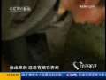 共同关注 相思客栈
