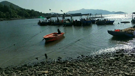 南澳岛赶海日记 赶海小伙花费200元体验渔民出海捕鱼，网到的所有海鲜归小伙，这样赚了没有？