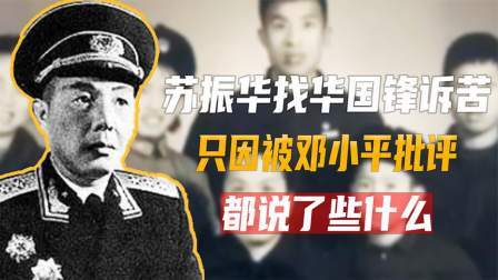 古今研究所 苏振华被邓小平批评后，找华国锋诉苦5小时，华国锋说了些什么