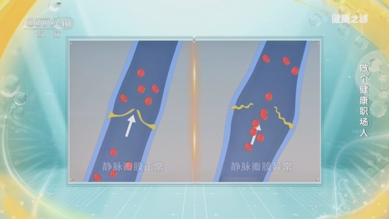 健康之路 《健康之路》 20241029 做个健康职场人