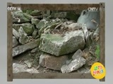 芝麻开门【央视】 《芝麻开门》 20160919 动物好伙伴