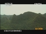 远方的家 百山百川行 第五十三集 茂兰国家级自然保护区《远方的家》 20130703