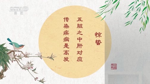 百家讲坛 《百家讲坛》 20200205 中医话节气 3 惊蛰
