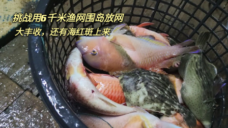 南澳岛赶海日记 挑战用6千米渔网围岛放网，结果大丰收啊，渔获来都好几条一起的