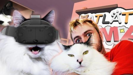 聊斋怪谈 给猫咪戴上VR眼镜后 它的反应让我看的笑出声！