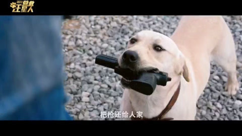 屏行星乐汇 电影《营救汪星人》改档期