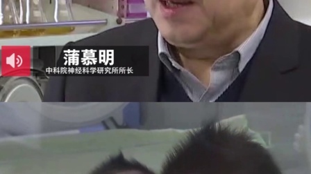 要闻主菜单 重大突破！中国科学家成功克隆出猴子