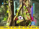 娱乐乐翻天 《娱乐乐翻天》 20170412