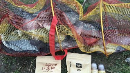 笑哥巧用银窝窝麝香药米