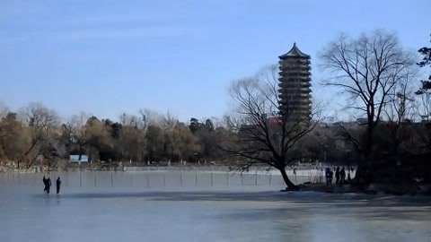 1818黄金眼 1818黄金眼20200701