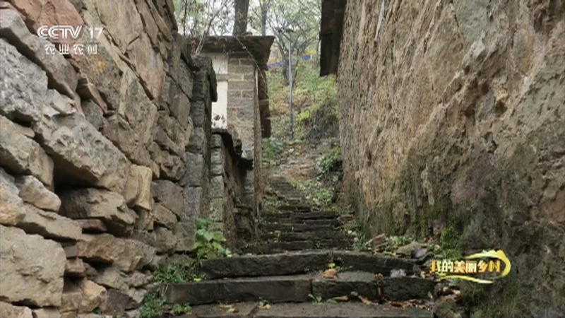 《我的美丽乡村》 20210502 诗情画意致富路
