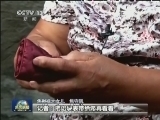 新闻联播 新闻联播完整版视频 20140629