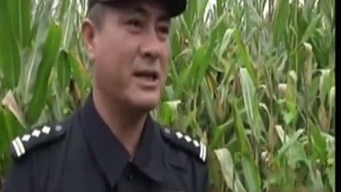 耳目一新 耳目一新20140908