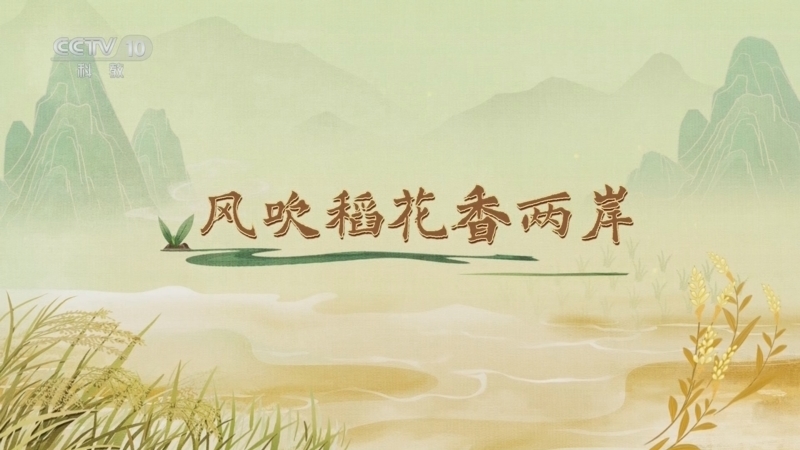 百家讲坛 《百家讲坛》 20250427 食物的历史（第一部） 3 风吹稻花香两岸